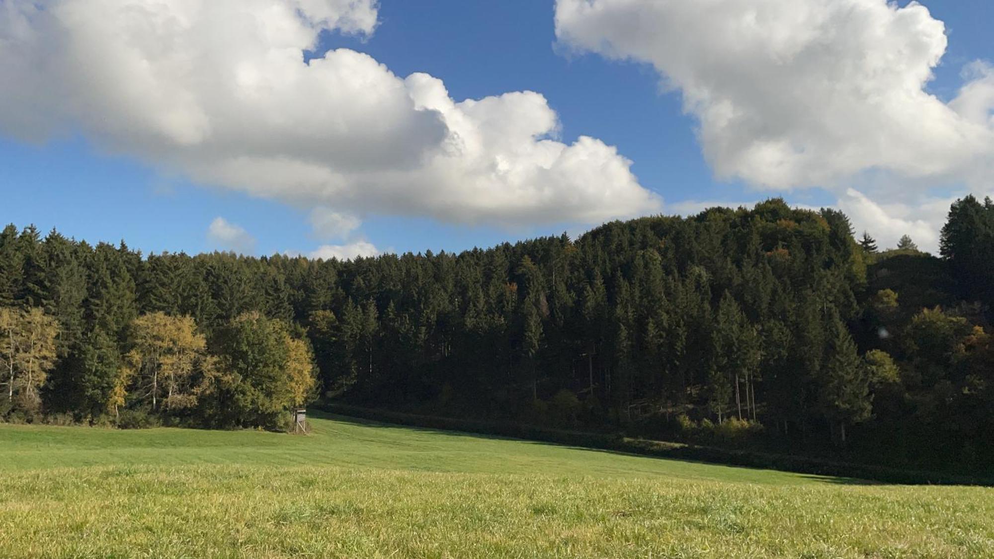 Deine-Eifel-Ferienwohnung Feusdorf Екстер'єр фото