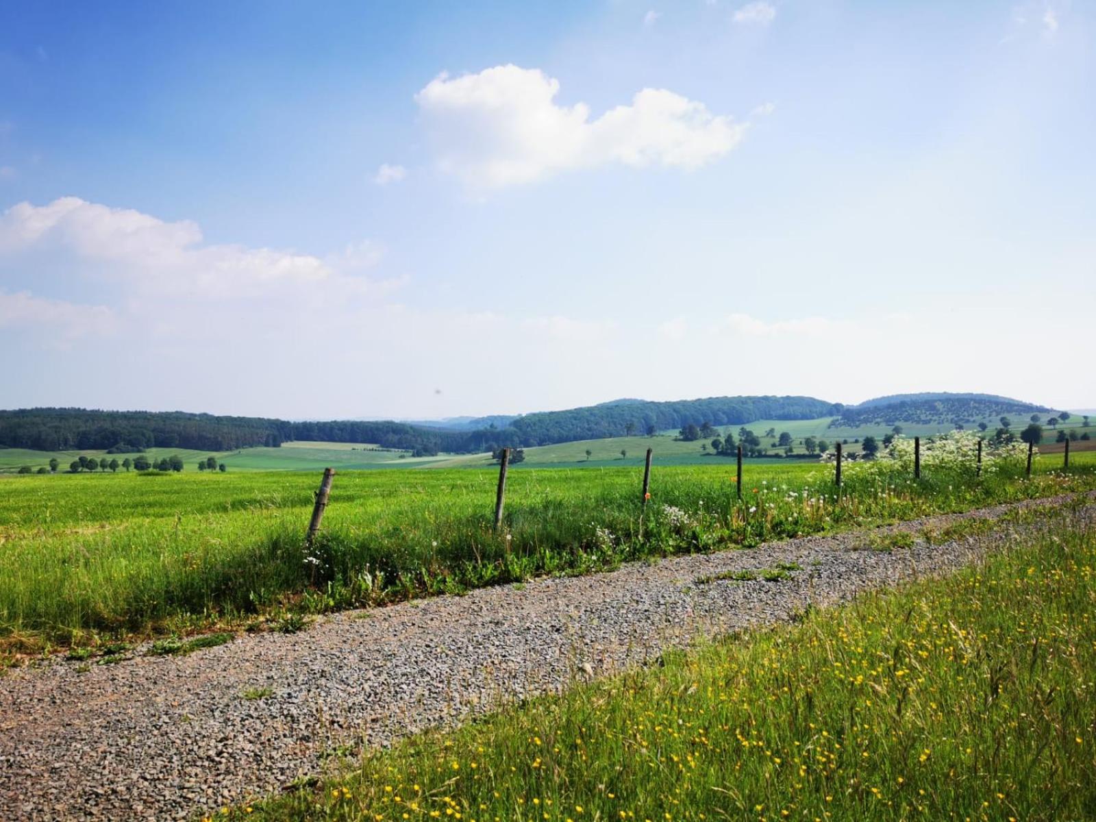 Deine-Eifel-Ferienwohnung Feusdorf Екстер'єр фото