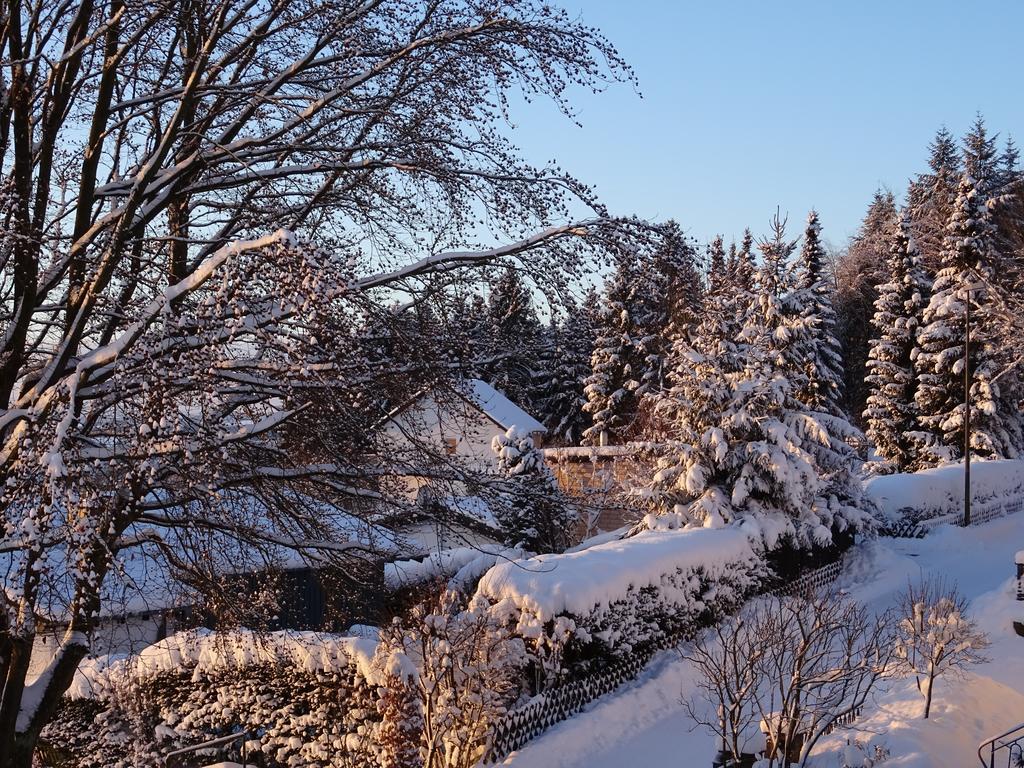 Deine-Eifel-Ferienwohnung Feusdorf Екстер'єр фото