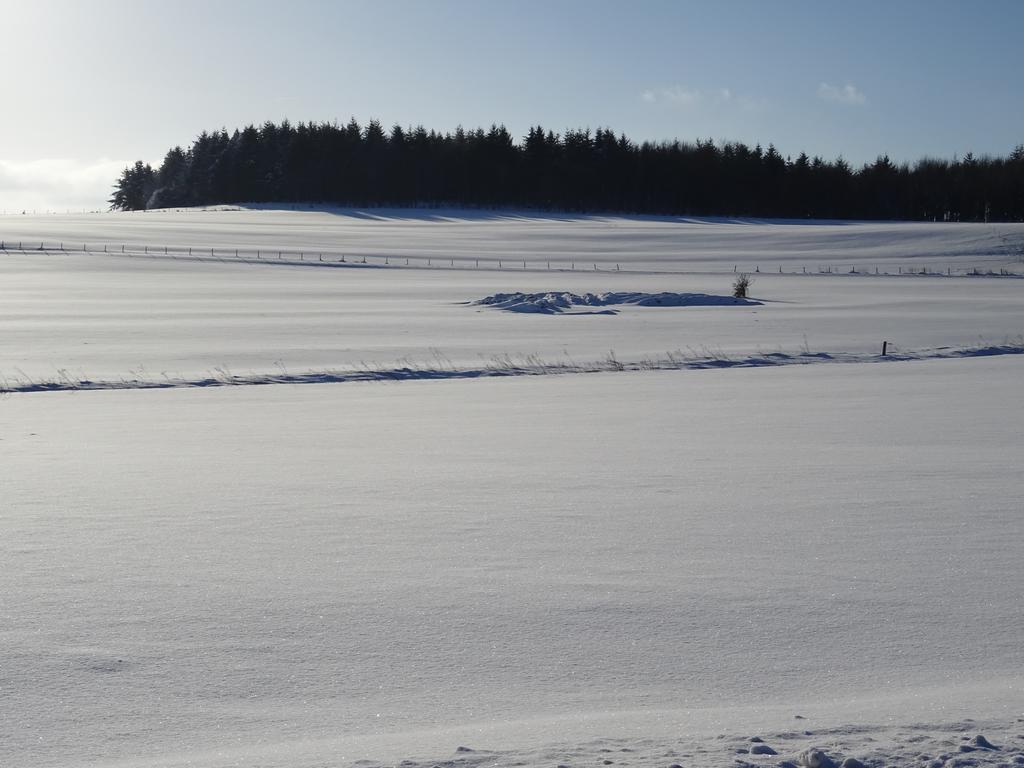 Deine-Eifel-Ferienwohnung Feusdorf Екстер'єр фото