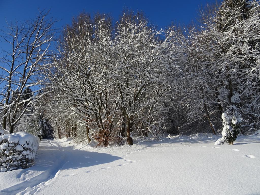 Deine-Eifel-Ferienwohnung Feusdorf Екстер'єр фото