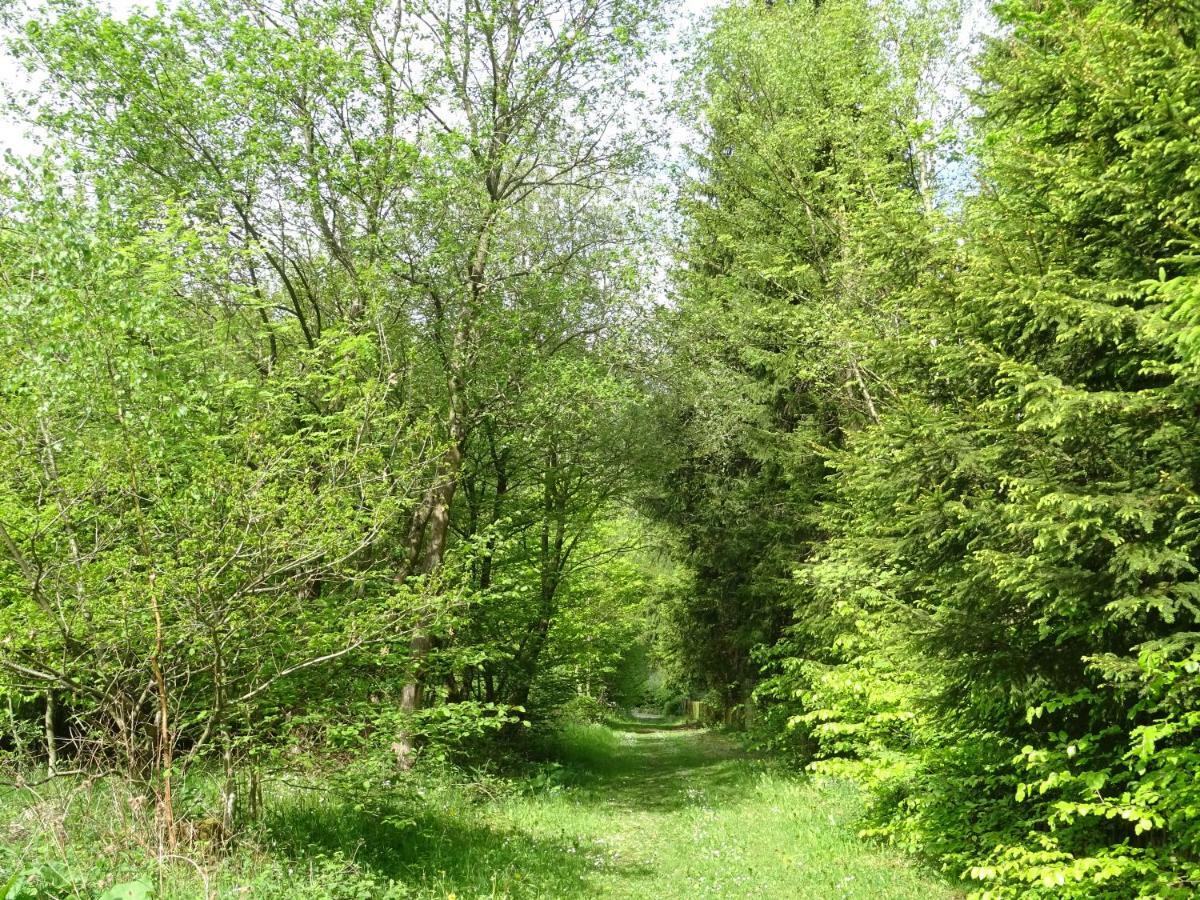 Deine-Eifel-Ferienwohnung Feusdorf Екстер'єр фото
