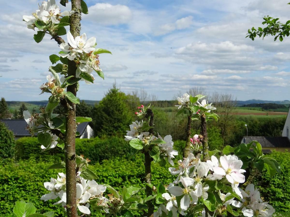 Deine-Eifel-Ferienwohnung Feusdorf Екстер'єр фото
